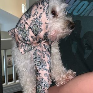 Meet your Posher, Aleida